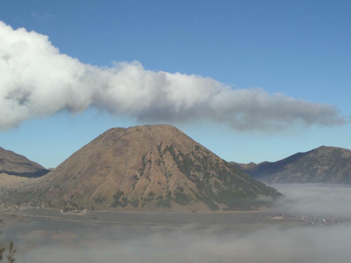 Tengger Indah Homestay Μπρόμο Εξωτερικό φωτογραφία