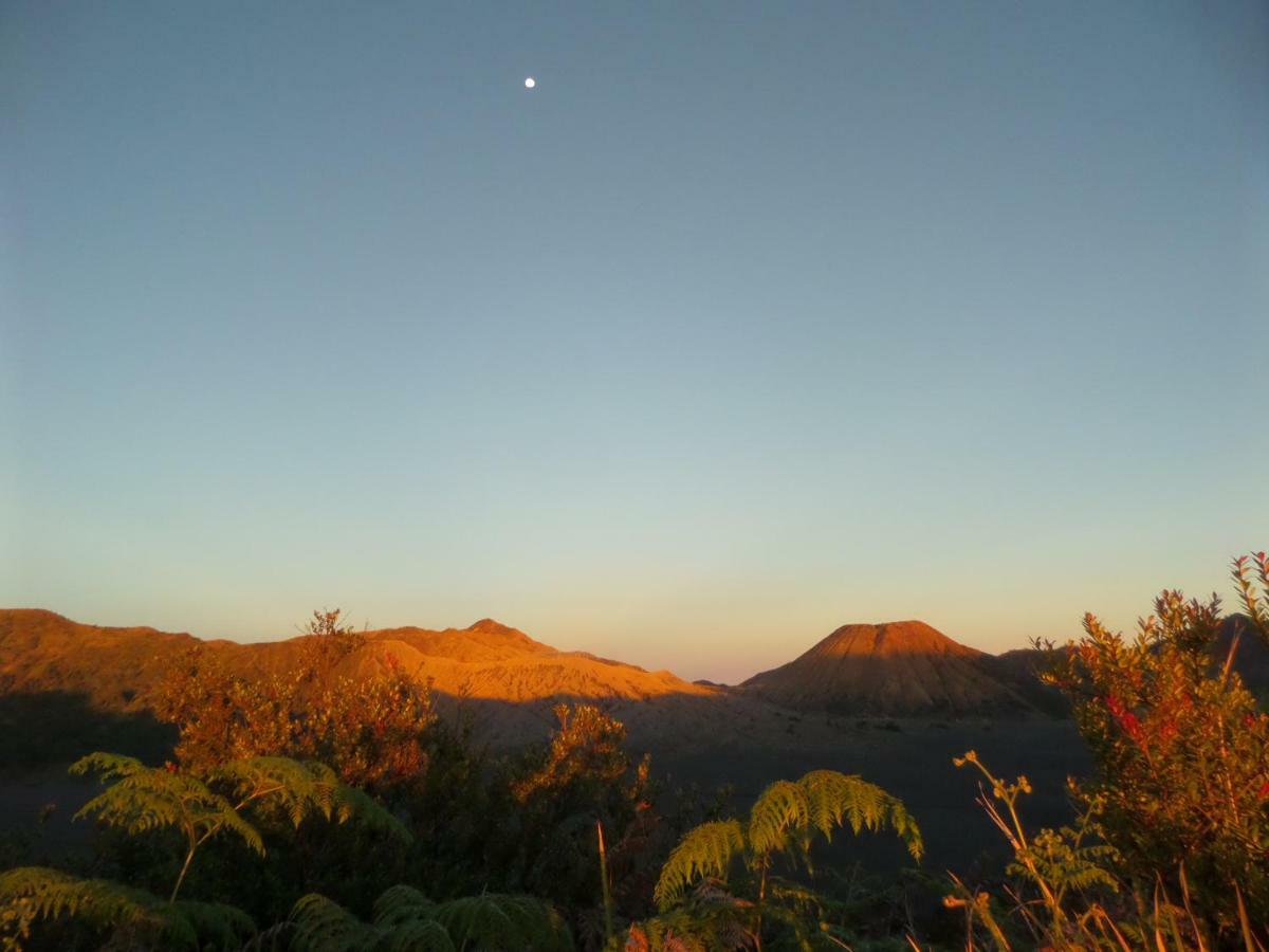 Tengger Indah Homestay Μπρόμο Εξωτερικό φωτογραφία